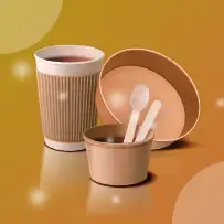 اکسسوری